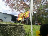 /album/e-nigma-24-de-outubro-de-2009/e-nigma-by-igor-43-jpg/